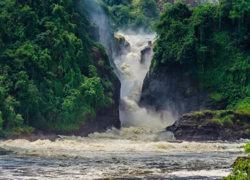 Murchison Falls, where the Nile forces through a narrow gorge